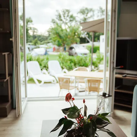 Gugel 노이엔부르크 암 라인